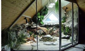 Terrarium Nedir? Nasıl Yapılır?